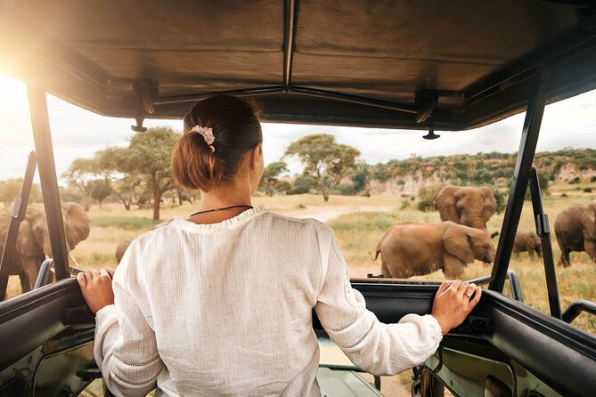 3-Day Tarangire, Ngorongoro and Lake Manyara Camping Safari - Who Will Enjoy This Safari Most?