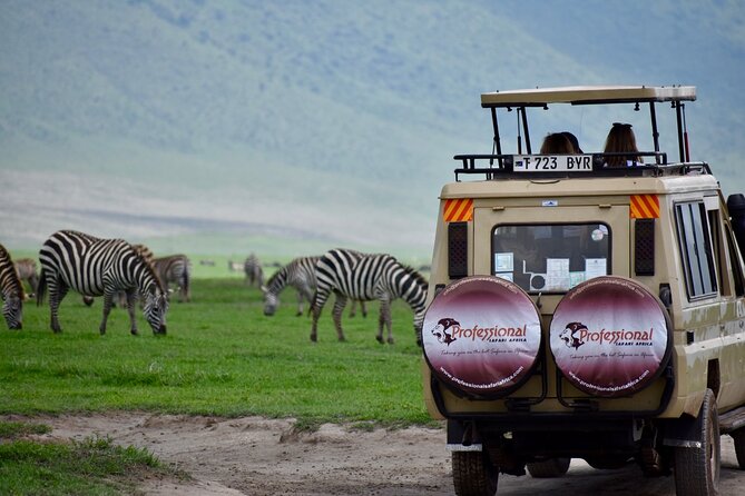 3 Day - Tarangire, Ngorongoro Crater Lake Manyara- Mid - Range - What $1,350 includes, and where to look closely