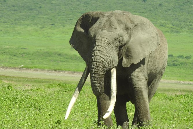 3 Day - Tarangire, Ngorongoro Crater Lake Manyara- Mid - Range - Practical advice for making the trip smoother
