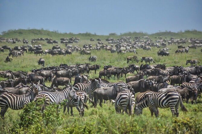 3-Day Tarangire, Ngorongoro Crater, Manyara Park - Who will enjoy this safari most