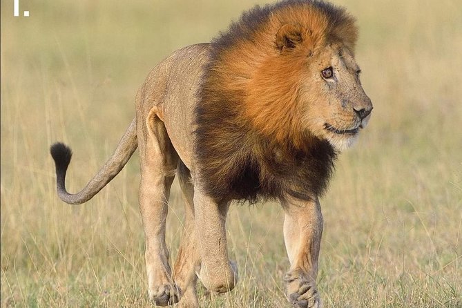 3-Day Tarangire NP, Manyara NP & Ngorongoro Crater - Day 3: Lake Manyara’s forests, waterfalls and hot springs