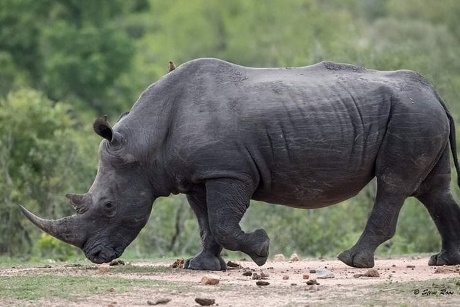 3-Day Tarangire NP, Manyara NP & Ngorongoro Crater - Food, camping gear and included costs