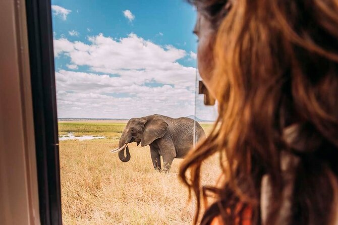 3-Day Taste of Tanzania Safari (Tarangire National park and Ngorongoro Crater) - The guide can shape the whole experience