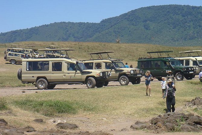 3-Day Taste of Tanzania Safari (Tarangire National park and Ngorongoro Crater) - Karatu overnight: the practical middle point