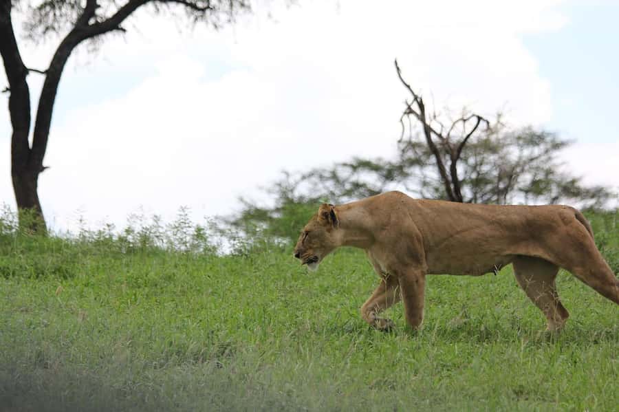 3-day unforgettable memories from Dar-es-Salaam to Mikumi NP - Day one: the road from Dar es Salaam to Mikumi