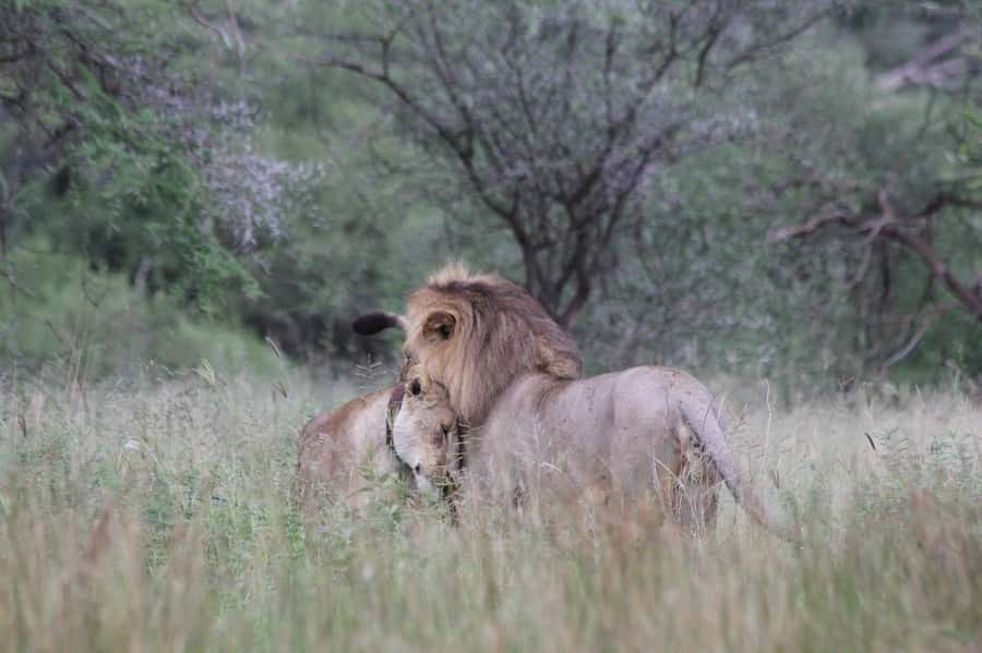 3-day unforgettable memories from Dar-es-Salaam to Mikumi NP - Who should choose this Mikumi safari?