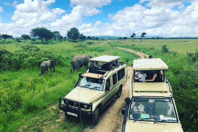 3 Days 2 Nights Adventures At Mikumi National Park - Key points at a glance