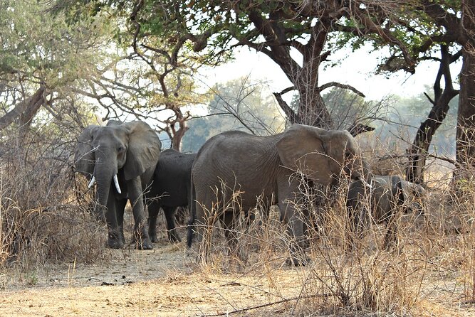 3 Days 2 Nights Group Joining Serengeti and Ngorogoro Safari - Ngorongoro Crater on the final day