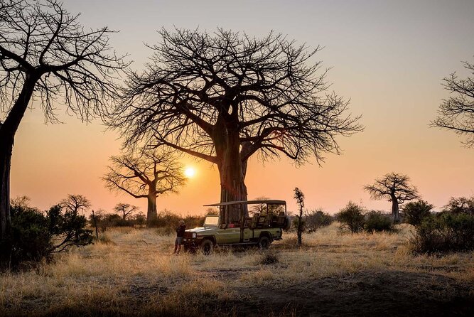 3 Days 2 Nights Group Joining Serengeti and Ngorogoro Safari - Meals, camping, and the comfort question
