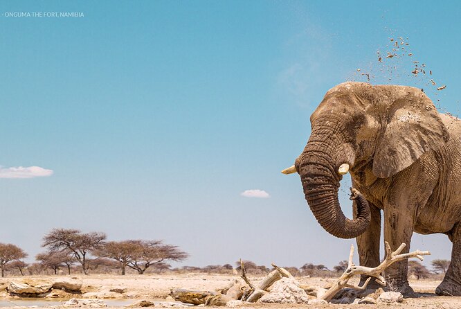 3 Days 2 Nights Group Joining Serengeti and Ngorogoro Safari - Who will get the most from this safari