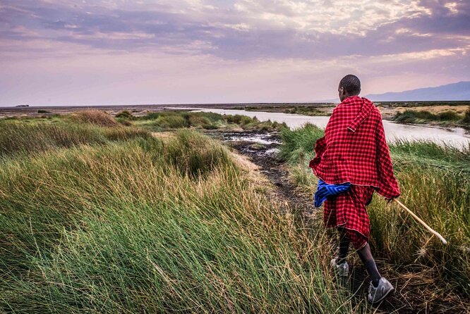 3 Days 2 Nights Group Joining Serengeti and Ngorogoro Safari - Booking, cancellation, and the final call