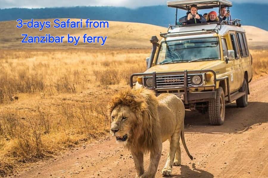 3 DAYS, 2 NIGHTS SAFARI FROM ZANZIBAR TO MIKUMI BY FERRY. - One full day among Mikumi’s wildlife