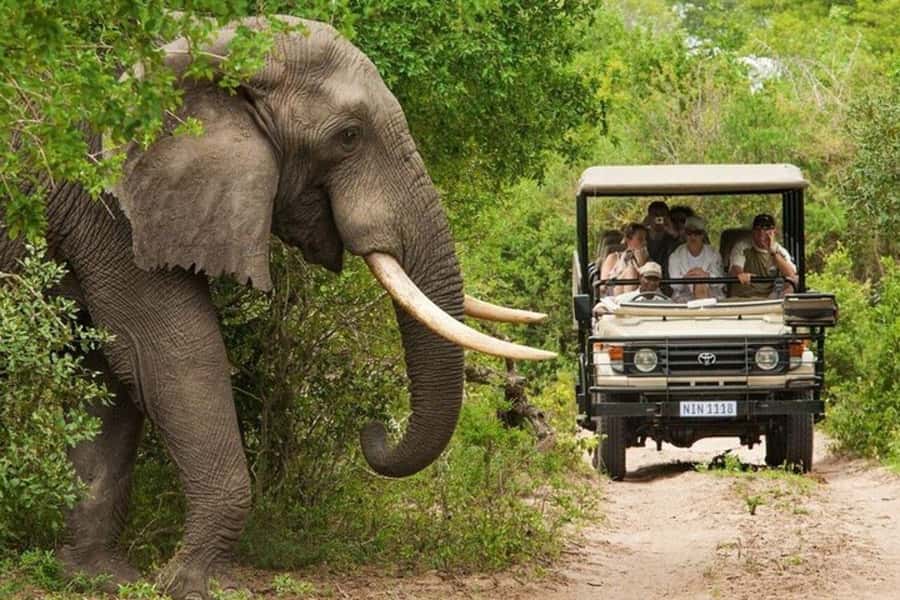 3 DAYS, 2 NIGHTS SAFARI FROM ZANZIBAR TO MIKUMI BY FERRY. - Morogoro to Mikumi after lunch