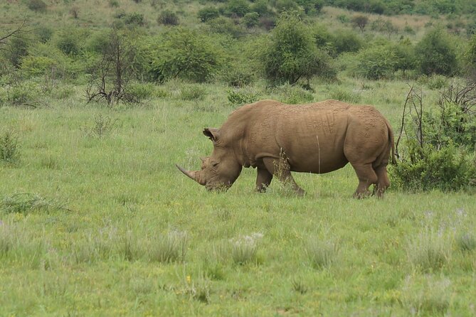 3-Days 2-nights Tanzania Private Budget Camping Safari - Key points at a glance