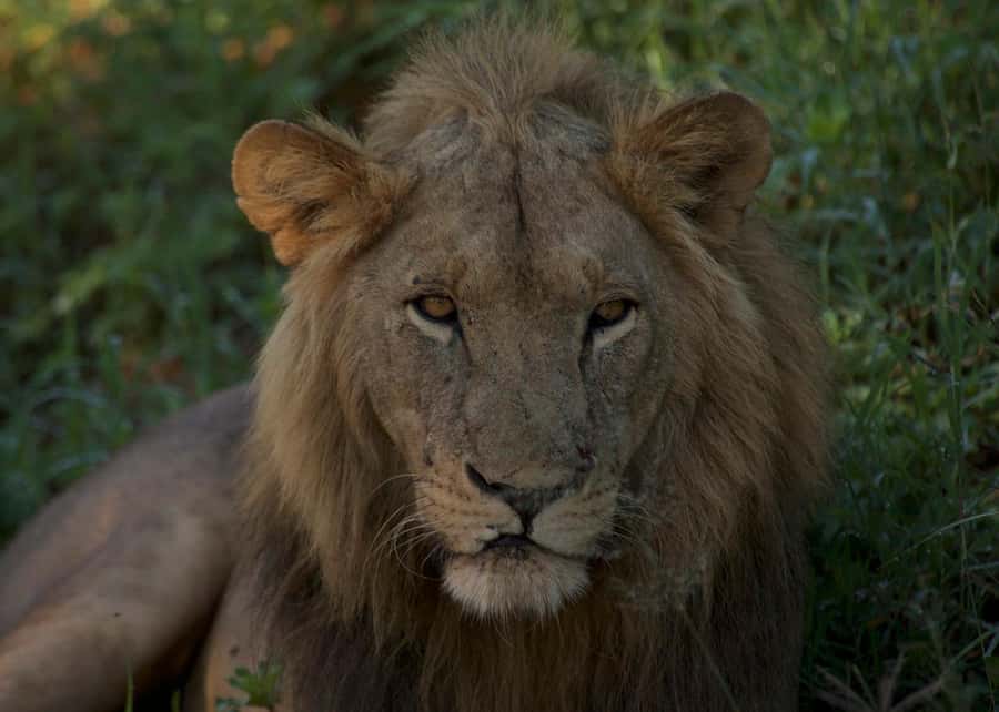 3-days adventure from Dar-es-Salaam to Mikumi National Park - The lodge stay and what the price covers