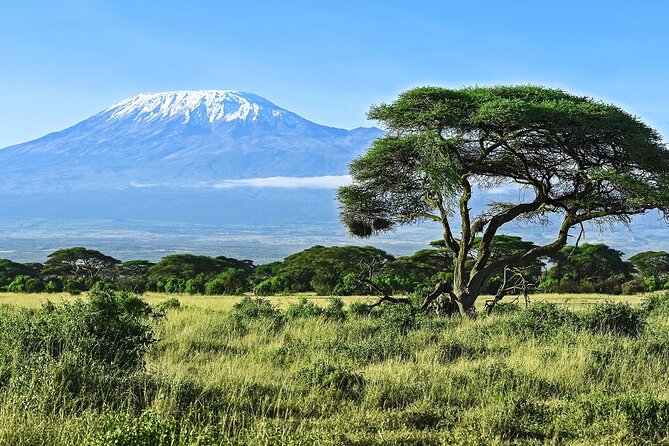 3 Days All Inclusive Zanzibar to Tarangire Ngorongoro - Day three: Lake Manyara’s forest, hot springs, and birds