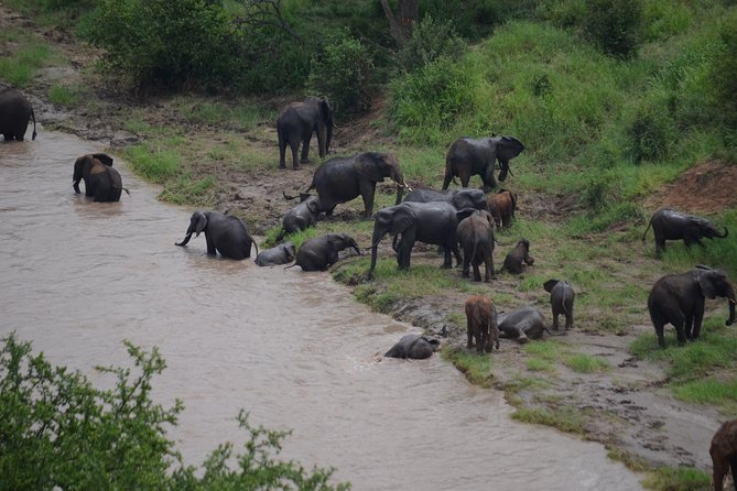 3 Days All Inclusive Zanzibar to Tarangire Ngorongoro - What the $1,776.32 price covers