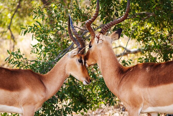 3 Days Amzing Safari in Tarangire and Nngorongoro - The biggest question: two days or three
