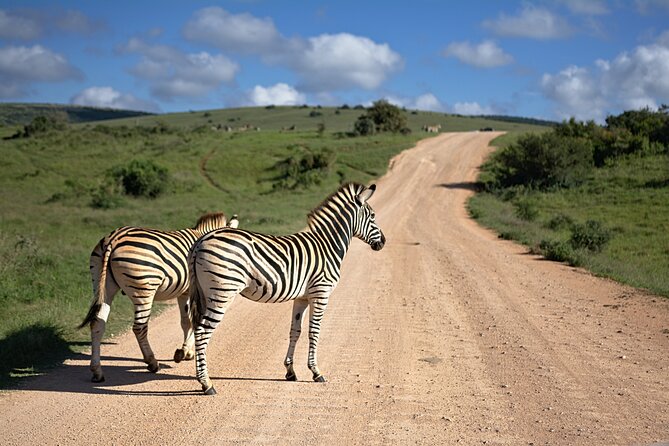 3 Days Amzing Safari in Tarangire and Nngorongoro - The guide makes the difference