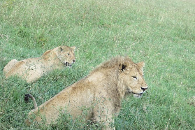 3 Days Amzing Safari in Tarangire and Nngorongoro - Descending into Ngorongoro Crater