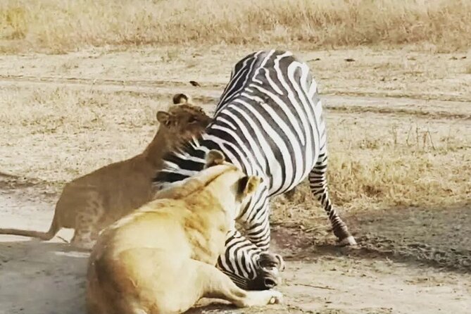 3-Days Budget Lodge Safari - Tarangire, Ngorongoro & Lake Manyara - Day 3: Forest, lake, and birdlife at Manyara