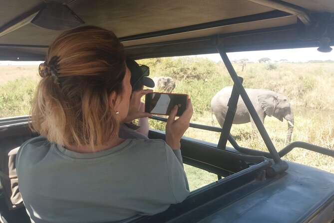 3-Days Budget Lodge Safari - Tarangire, Ngorongoro & Lake Manyara - What the open-roof vehicle changes