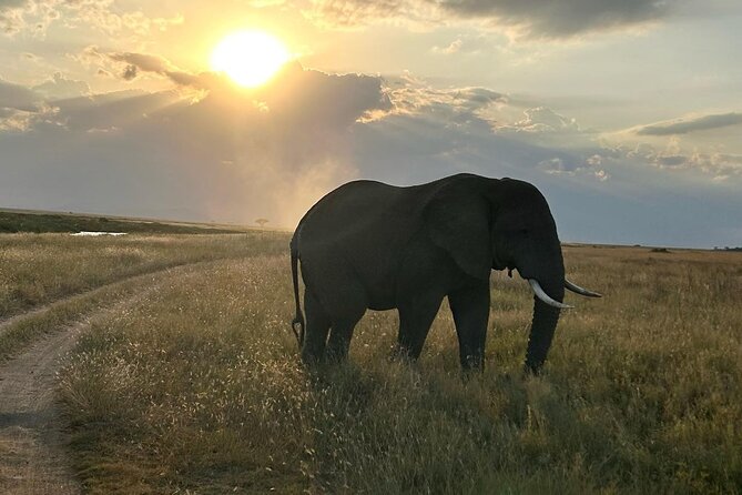 3-Days Budget Lodge Safari - Tarangire, Ngorongoro & Lake Manyara - Meals, lodging, and included value
