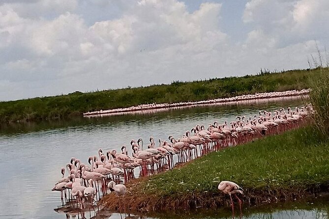 3-Days Budget Lodge Safari - Tarangire, Ngorongoro & Lake Manyara - Practical details before you book