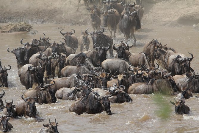 3 Days Camping Safari Tarangire, Lake Manyara and Ngorongoro Crater - Comfort, pace, and what to pack