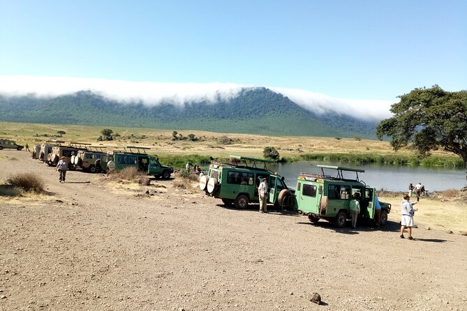 3 Days Exploring Serengeti & Ngorongoro Crater from Arusha - What the guide can add to the experience