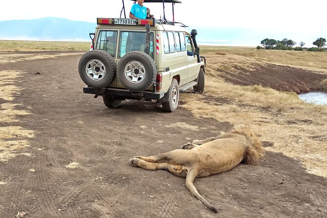 3 Days Exploring Serengeti & Ngorongoro Crater from Arusha - Who will enjoy this three-day route?