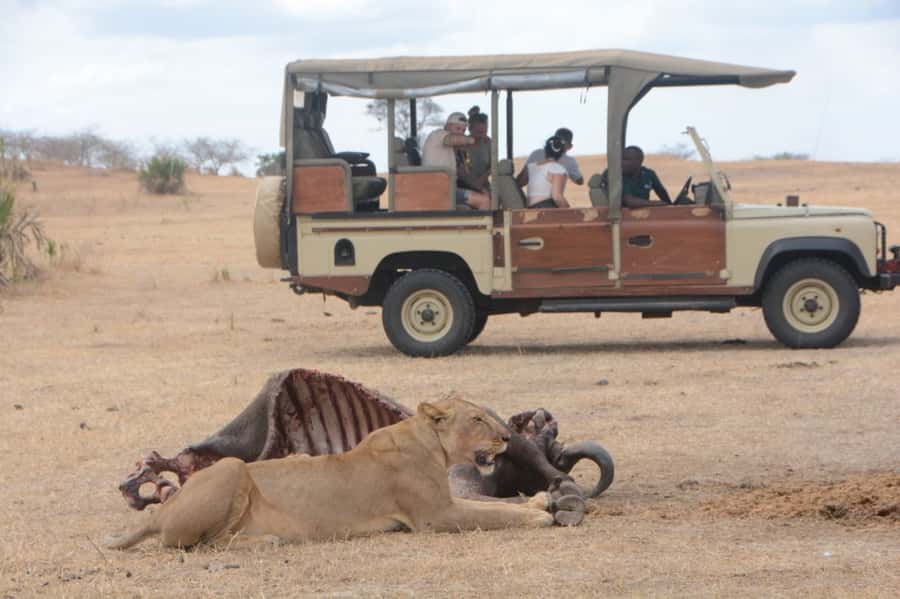 3 Days Flight Package Zanzibar to Nyerere/Selous - Flying from Zanzibar to Nyerere National Park