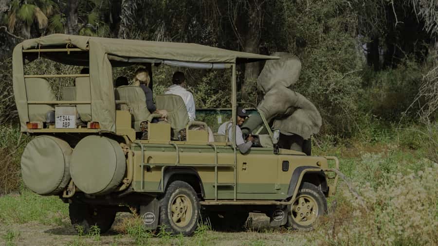 3 Days Flight Package Zanzibar to Nyerere/Selous - Mloka village between 10 AM and lunch