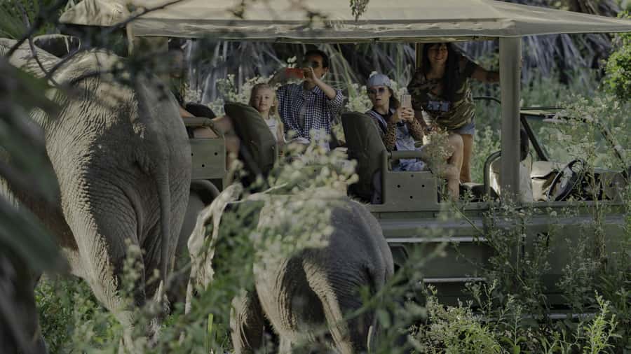 3 Days Flight Package Zanzibar to Nyerere/Selous - Who will enjoy this safari most