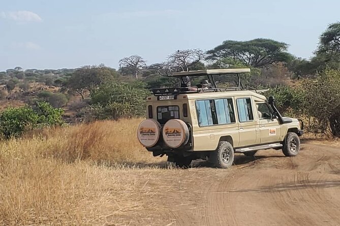 3 Days Fly in & Out Serengeti Park - Meals, lodge nights, and the comfort level