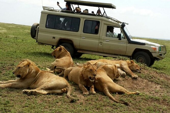 3 Days Fly in & Out Serengeti Park - Day three: sunrise, hippo pools, and the flight out