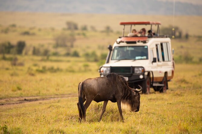 3 days fly in safari - Day 1: Seronera after an 11 a.m. arrival