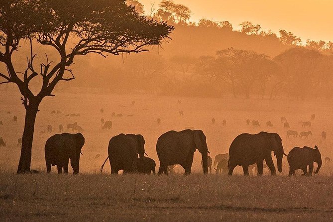 3 days fly in safari - The pace, comfort, and small practical limits