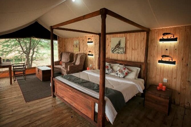 3 days fly in safari - Day 2: An early Seronera game drive