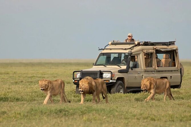 3 Days Group Joining Serengeti and Ngorongoro Safari - Why this short safari works from Arusha