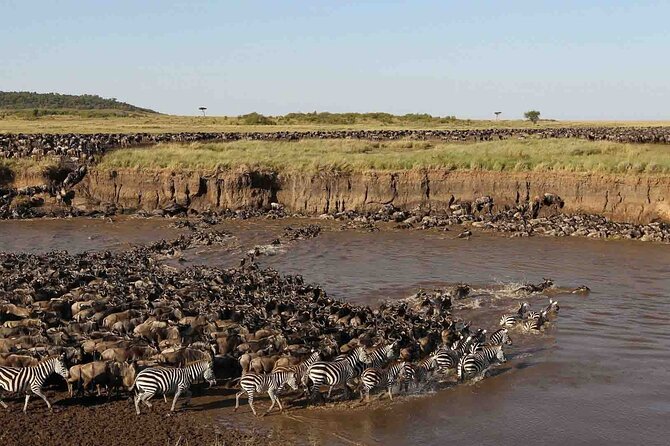 3 Days Group Joining Serengeti and Ngorongoro Safari - Camping, food, and the practical side