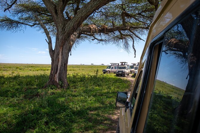 3 Days Group Safari Serengeti & Ngorongoro - Key points to know before booking