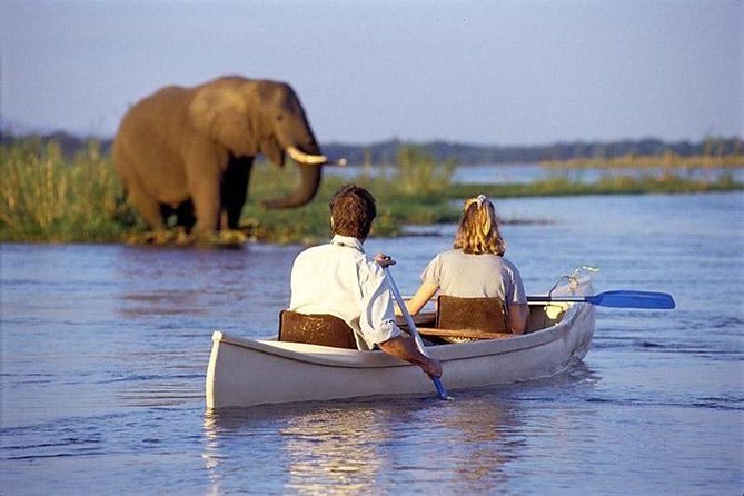3 Days Joined Group Safari Ngorongoro,Lake Manyara and Tarangire National Park - Day two: Lake Manyara’s forest, lake, and birdlife
