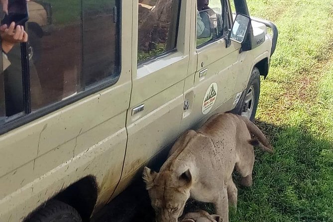 3 Days Lake Manyara, Ngorogoro Crater, Tarangire National Park - Meeting local life in Mto wa Mbu