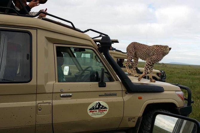 3 Days Lake Manyara, Ngorogoro Crater, Tarangire National Park - Comfort, timing, and the small-group advantage