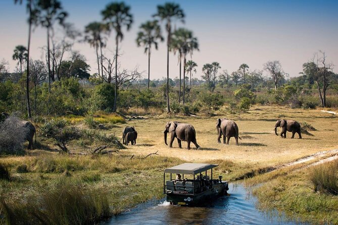 3-Days Lodge Safari in Tarangire, Ngorongoro Crater & Lake Manyara - Starting from Arusha at 8:30 am