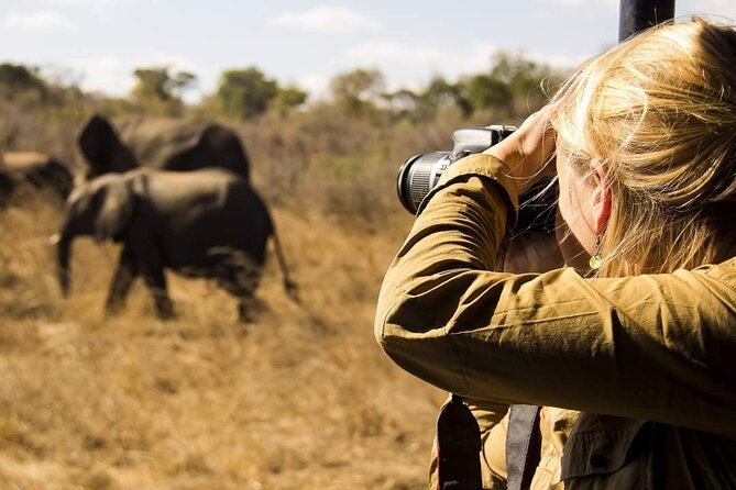 3-Days Lodge Safari in Tarangire, Ngorongoro Crater & Lake Manyara - Lake Manyara: birds, forest, and seasonal color