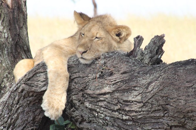 3 Days Luxury Safari - Why this three-day route works