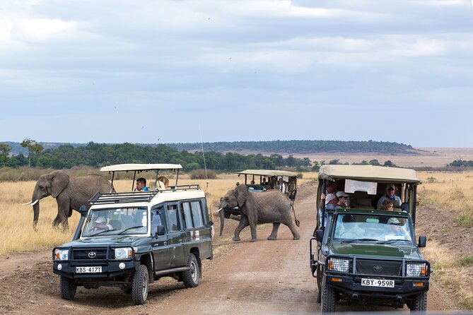 3 days Luxury Safari Tour in Tanzania - The guide and cook make a practical difference