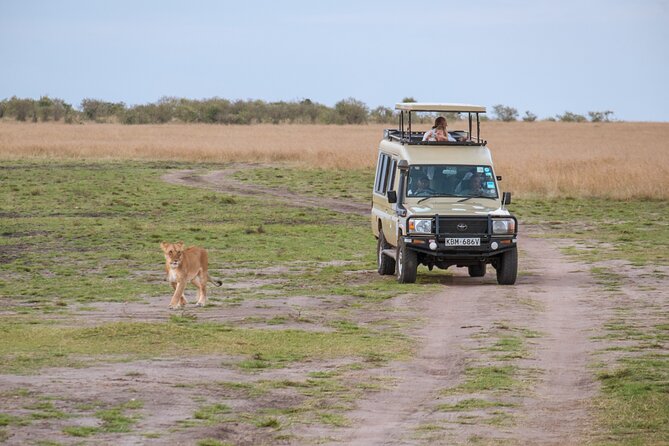 3 days Luxury Safari Tour in Tanzania - Day three: descending into Ngorongoro Crater